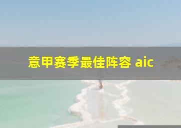 意甲赛季最佳阵容 aic